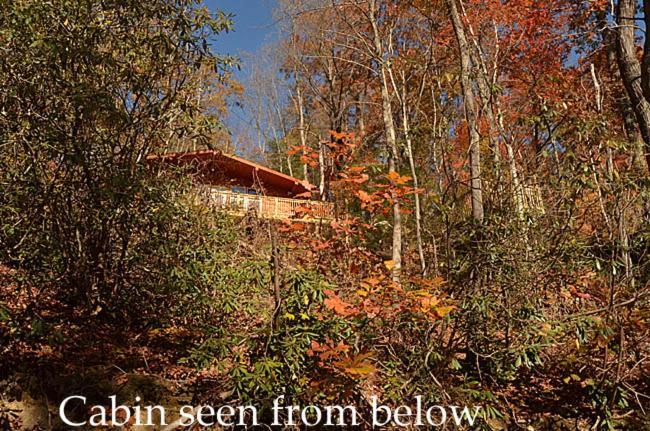 개틀린버그 #820 Honeymoon Hideaway 빌라 외부 사진